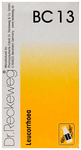 Dr. Reckeweg Bio-Combination 13 (BC 13) Tablet