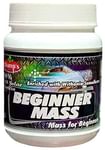 Champ's Beginner Mass Chocolate Brownie Buy 1 Get 1 Free