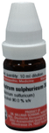 Dr Willmar Schwabe Germany Natrum Sulphuricum Dilution 30