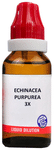 Bjain Echinacea Purpurea Dilution 3X