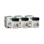 Bello Dragon Coconut Balm (8ml Each)