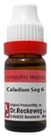 Dr. Reckeweg Caladium Seg Dilution 6 CH