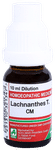 ADEL Lachnanthes T. Dilution CM