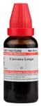 Dr Willmar Schwabe India Curcuma Longa Mother Tincture Q