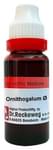 Dr. Reckeweg Ornithogalum Mother Tincture Q