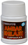 Dehlvi Naturals Ambar Shilajit Capsule