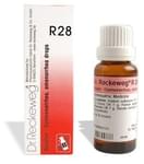 Dr. Reckeweg R28 Dysmenorrhea And Amenorrhea Drop