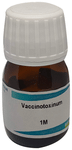 Boiron Vaccinotoxinum Dilution 1M