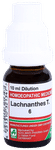 ADEL Lachnanthes T. Dilution 6