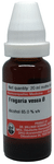 Dr Willmar Schwabe Germany Fragaria Vesea Mother Tincture Q