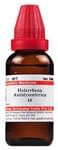 Dr Willmar Schwabe India Holarrhena Antidysenterica Mother Tincture Q