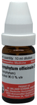 Dr Willmar Schwabe Germany Symphytum Officinale Dilution 200 CH