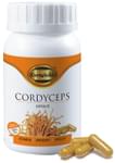 Cordy Gold Cordyceps Capsule