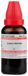 Dr Willmar Schwabe India Liatris Spicata Mother Tincture Q