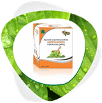 A&A Ayurvedic Ashwagandha Churna