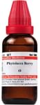 Dr Willmar Schwabe India Phytolacca Berry Mother Tincture Q