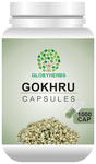 Globyherbs Gokhru Capsule