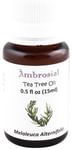 Ambrosial Tea Tree Essential Oil