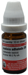 Dr Willmar Schwabe Germany Justicia Adhatoda Dilution 200
