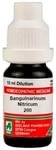 ADEL Sanguinaria Nit. Dilution 200