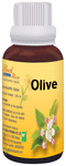 Bio India Bach Flower Olive
