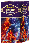 Aushadh Shilajit Extra Power Malt