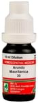 ADEL Arundo Mauritanica Dilution 30