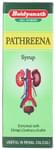 Baidyanath (Jhansi) Pathreena Syrup