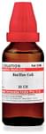 Dr Willmar Schwabe India Bacillus Coli Dilution 30 CH