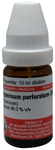 Dr Willmar Schwabe Germany Hypericum Perforatum Dilution 200