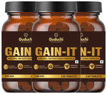 Guduchi The Ayurvedism Gain-IT Tablet (120 Each)
