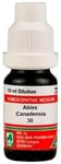 ADEL Abies Canadensis. Dilution 30