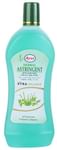 AYUR Herbal Aloe Vera Astringent
