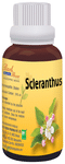 Bio India Bach Flower Scleranthus