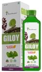 Four Seasons Giloy Juice