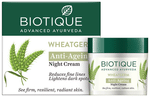 Biotique Wheat Germ Anti-Ageing Night Cream
