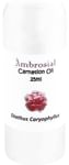 Ambrosial Essential Oil Carnation