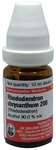 Dr Willmar Schwabe Germany Rhododendron Chrysanthum Dilution 200