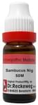 Dr. Reckeweg Sambucus Nig Dilution 50M CH