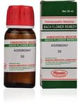 Bhandari Bach Flower Agrimony 30