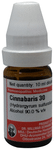 Dr Willmar Schwabe Germany Cinnabaris Dilution 30