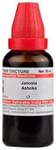 Dr Willmar Schwabe India Janosia Ashoka Mother Tincture Q