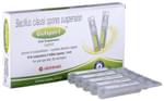 Gutspert Oral Suspension
