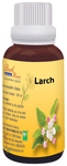 Bio India Bach Flower Larch