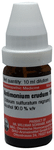 Dr Willmar Schwabe Germany Antimonium Crudum (Stibium Sulfuratum Nigrum) Dilution 1M