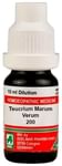 ADEL Teucrium Mar. Ver. Dilution 200