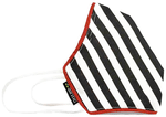 Airific Large Drive 2.0 Anti Viral & Anti Pollution Mask