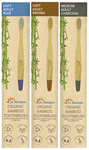 Dr. Morepen Organic Bamboo Toothbrush Adult 1 Medium & 2 Soft Blue, Brown & Charcoal