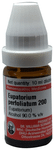 Dr Willmar Schwabe Germany Eupatorium Perfoliatum Dilution 200