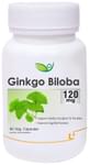 Biotrex Ginkgo Biloba 120mg Veg Capsule